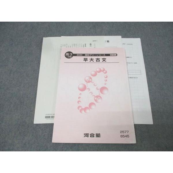 河合塾 高3 高校グリーンコース 早稲田大学 早大古文 国語テキスト 2024 隼坂しのぶ 010s0C