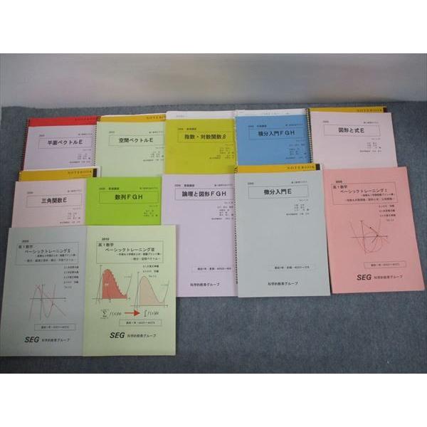 QZ12-019 SEG 高1数学E/FGHクラス 平面/空間ベクトルE 等 テキスト通年