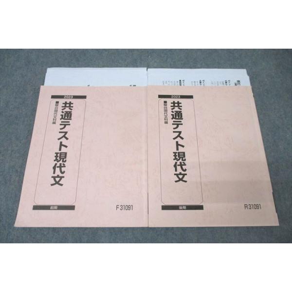 駿台 共通テスト現代文 国語 テキスト通年セット 2023 計2冊 今井愛子
