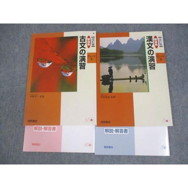 桐原書店 新体系 古文/漢文の演習 グレード3 学校採用専売品 状態良い