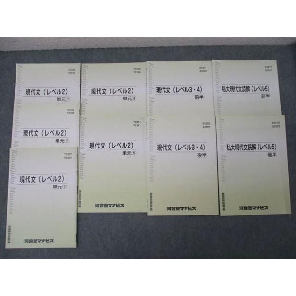 河合塾マナビス 私大現代文読解(レベル5)/現代文(レベル3・4) 前半