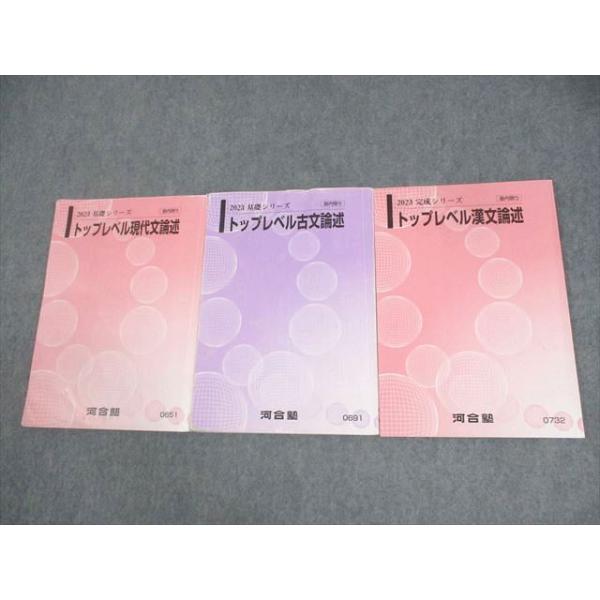 河合塾 トップレベル現代文/古文/漢文論述 テキスト 2023 基礎/完成