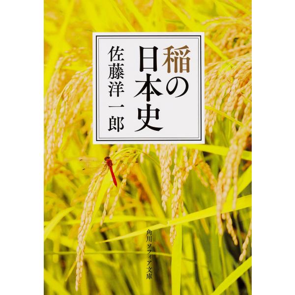 【条件付＋10％相当】稲の日本史/佐藤洋一郎【条件はお店TOPで】