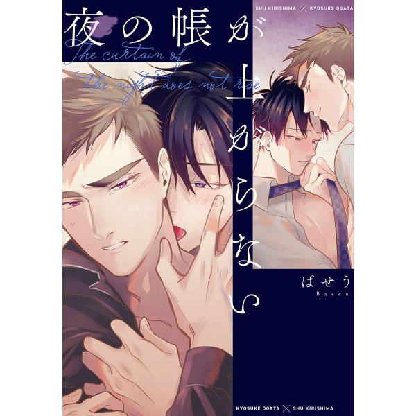 著:ばせう出版社:KADOKAWA発売日:2024年01月シリーズ名等:B’s LOVEY comicsキーワード:夜の帳が上がらないばせう よるのとばりがあがらないびーずらびーこみつくす ヨルノトバリガアガラナイビーズラビーコミツクス ば...