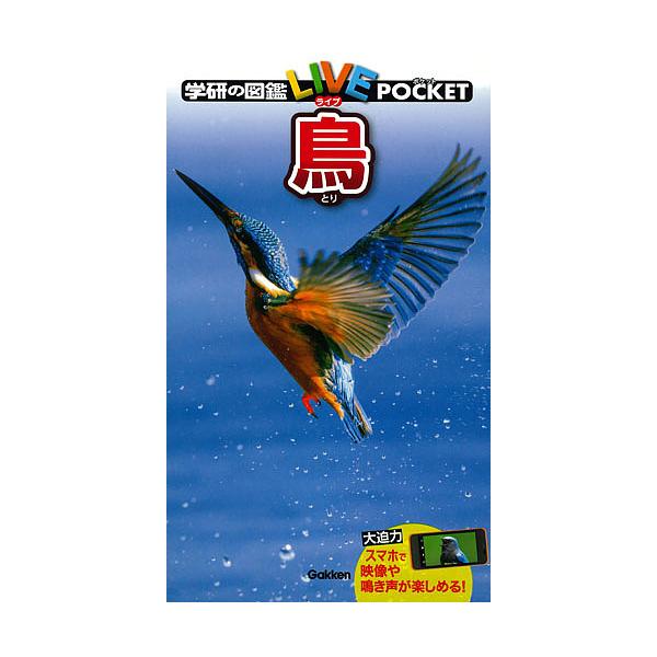 出版社:Gakken発売日:2017年04月シリーズ名等:学研の図鑑LIVE POCKET ６キーワード:学研の図鑑LIVEPOCKET６鳥 プレゼント ギフト 誕生日 子供 クリスマス 子ども こども とりがつけんのずかんらいぶぽけつと６...