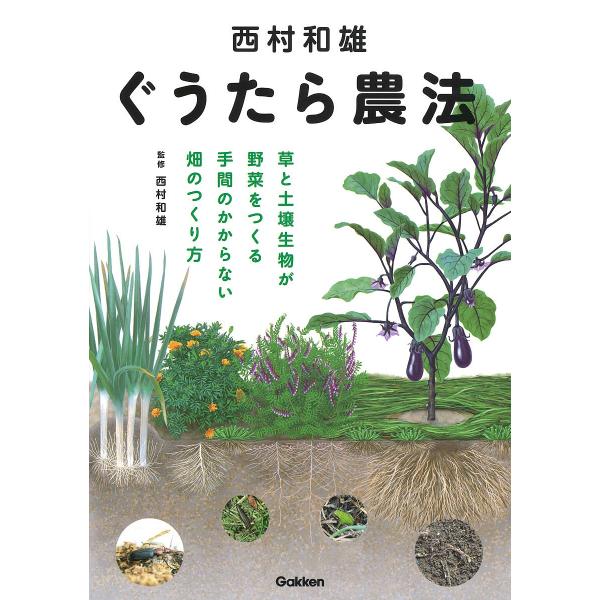 家庭菜園の本 ランキングtop3 人気売れ筋ランキング Yahoo ショッピング