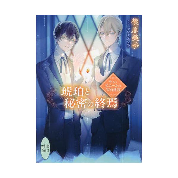 琥珀 宝石 本 Cd Dvdの人気商品 通販 価格比較 価格 Com