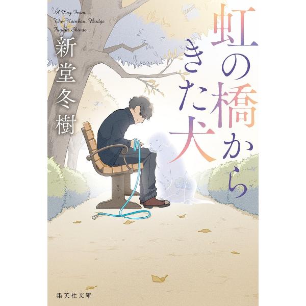 【条件付＋10％相当】虹の橋からきた犬/新堂冬樹【条件はお店TOPで】