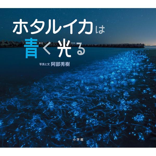 ホタルイカは青く光る/阿部秀樹/子供/絵本