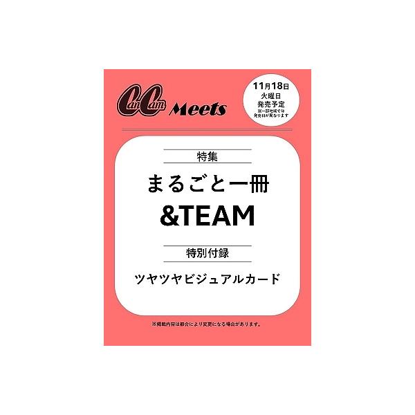 &amp;TEAM CanCam Meets『&amp;TEAM』 Mook