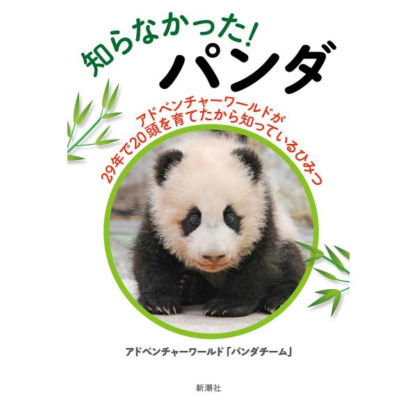 知らなかった!パンダ アドベンチャーワールドが29年で20頭を育てたから知っているひみつ/アドベンチャーワールド「パンダチーム」