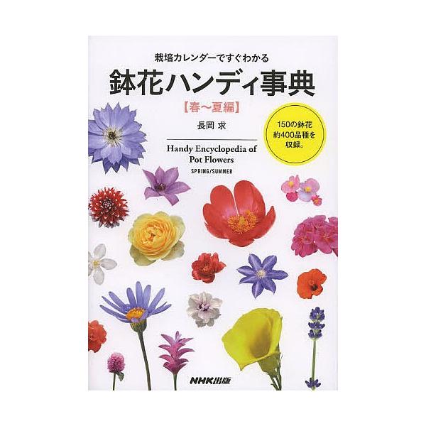 春 鉢花の人気商品 通販 価格比較 価格 Com