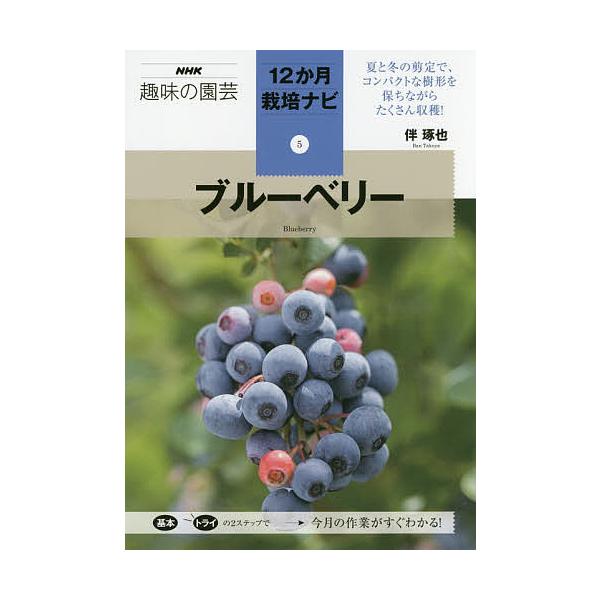 ブルーベリー 伴琢也 Bk Bookfan 送料無料店 通販 Yahoo ショッピング