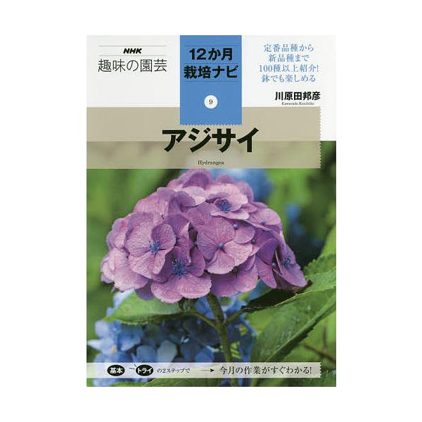 日曜はクーポン有 アジサイ 川原田邦彦 Bookfan Paypayモール店 通販 Paypayモール