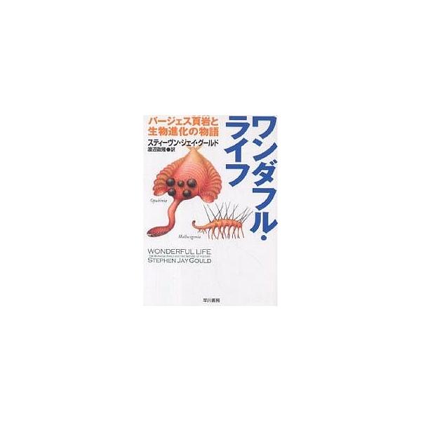 ワンダフル・ライフ バージェス頁岩と生物進化の物語/スティーヴン・ジェイ・グールド/渡辺政隆