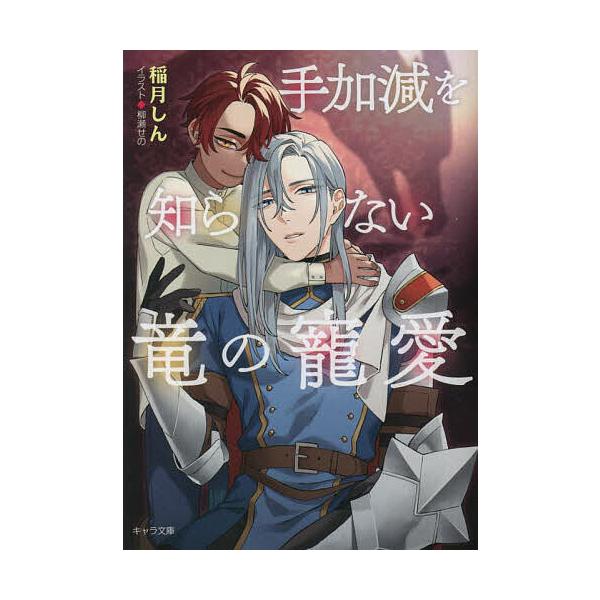 手加減を知らない竜の寵愛/稲月しん