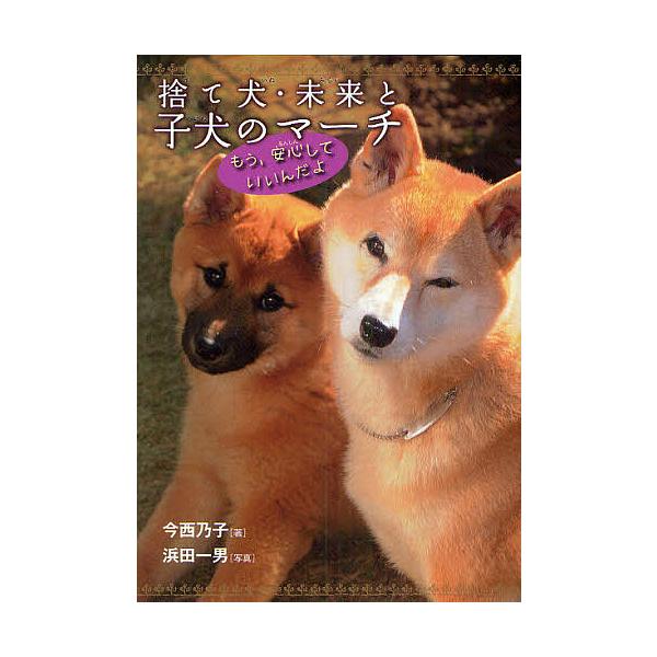 著:今西乃子　写真:浜田一男出版社:岩崎書店発売日:2011年04月シリーズ名等:ノンフィクション・生きるチカラ ６キーワード:捨て犬・未来と子犬のマーチもう、安心していいんだよ今西乃子浜田一男 プレゼント ギフト 誕生日 子供 クリスマス...