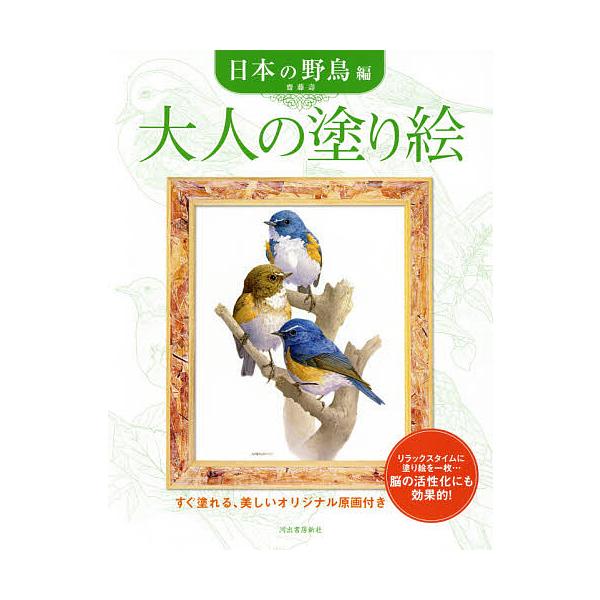 【条件付＋10％相当】大人の塗り絵　すぐ塗れる、美しいオリジナル原画付き　日本の野鳥編/齋藤壽【条件はお店TOPで】