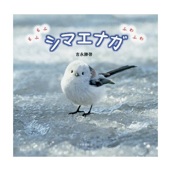 シマエナガ もふもふふわふわ/吉永勝啓