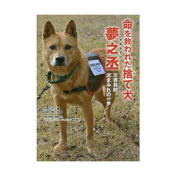 ※商品画像はイメージや仮デザインが含まれている場合があります。帯の有無など実際と異なる場合があります。著:今西乃子　写真:浜田一男出版社:金の星社発売日:2015年04月シリーズ名等:ノンフィクション知られざる世界キーワード:命を救われた捨...