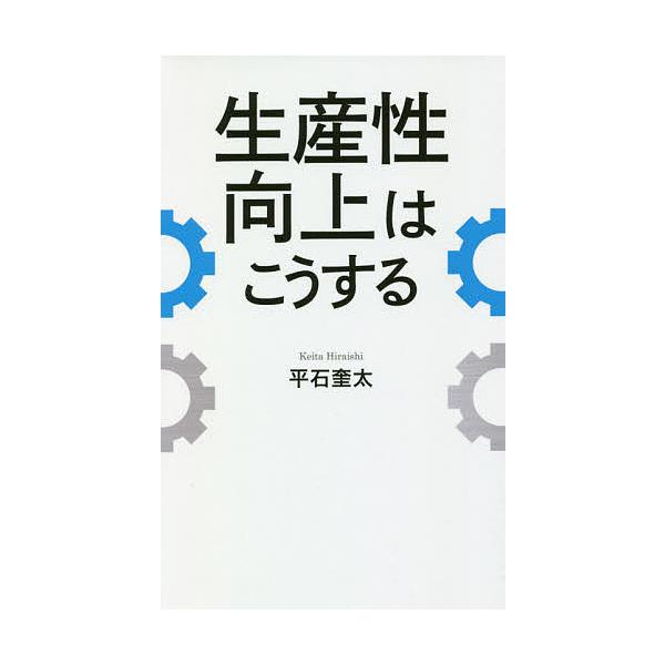 生産性向上はこうする/平石奎太