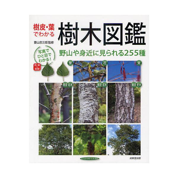 樹皮・葉でわかる樹木図鑑 野山や身近に見られる255種/菱山忠三郎