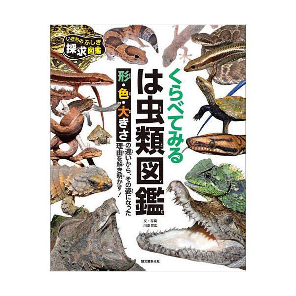 くらべてみるは虫類図鑑 形・色・大きさの違いから、その姿になった理由を解き明かす!/川添宣広