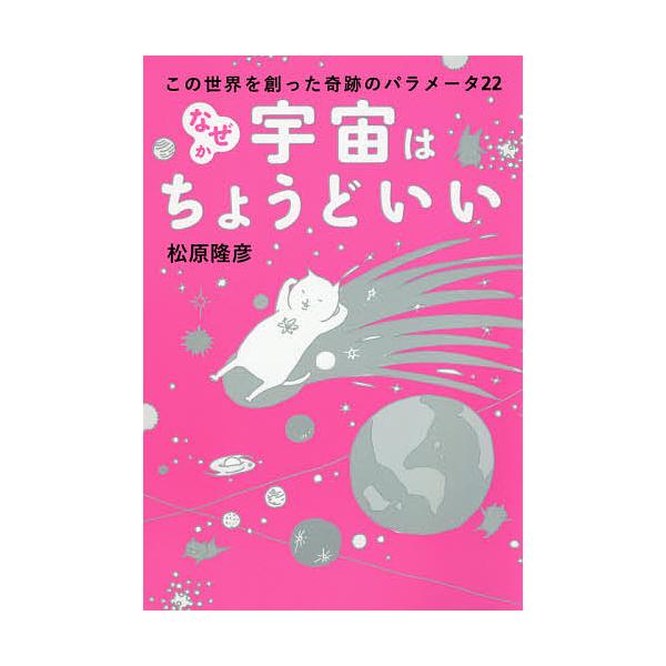 なぜか宇宙はちょうどいい この世界を創った奇跡のパラメータ22/松原隆彦