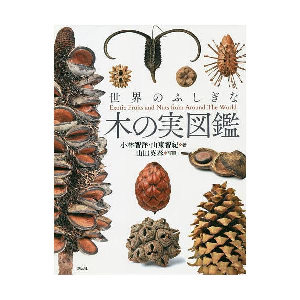 世界のふしぎな木の実図鑑/小林智洋/山東智紀/山田英春
