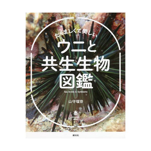 条件付 10 相当 たくましくて美しいウニと共生生物図鑑 山守瑠奈 条件はお店topで Bk Bookfan 送料無料店 通販 Yahoo ショッピング