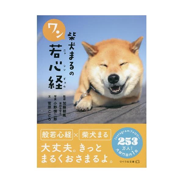 柴犬まるのワン若心経/菅原こころ/加藤朝胤/小野慎二郎