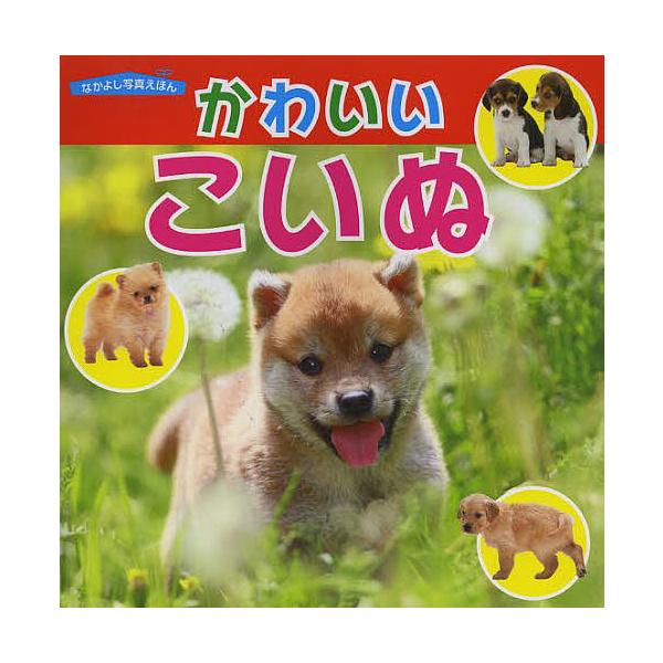 ※商品画像はイメージや仮デザインが含まれている場合があります。帯の有無など実際と異なる場合があります。写真:福田豊文出版社:永岡書店発売日:2014年シリーズ名等:なかよし写真えほんキーワード:かわいいこいぬ福田豊文 えほん 絵本 プレゼン...