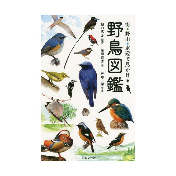 【条件付＋10％相当】街・野山・水辺で見かける野鳥図鑑/柴田佳秀/樋口広芳/戸塚学【条件はお店TOPで】