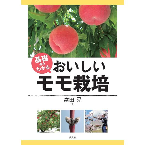 基礎からわかるおいしいモモ栽培/富田晃