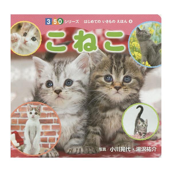 【条件付＋10％相当】こねこ/小川晃代/湯沢祐介/子供/絵本【条件はお店TOPで】