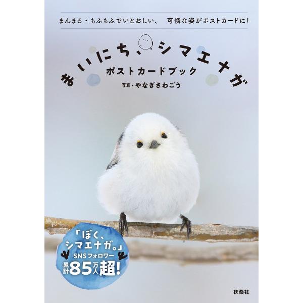 まいにち、シマエナガ ポストカードブック