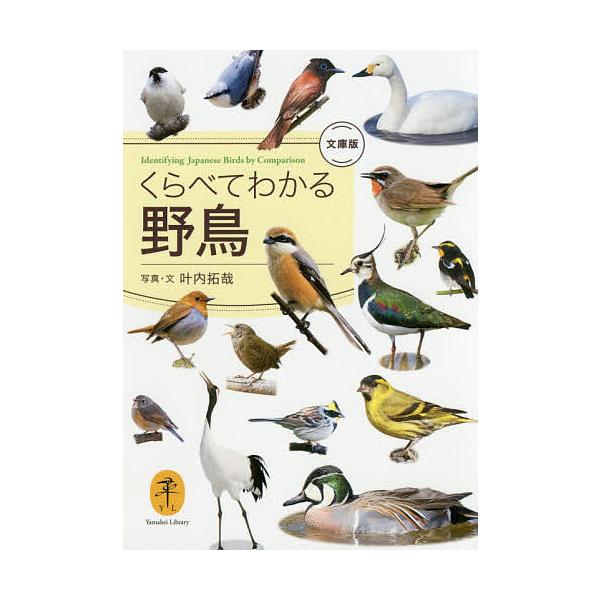 くらべてわかる野鳥 文庫版/叶内拓哉