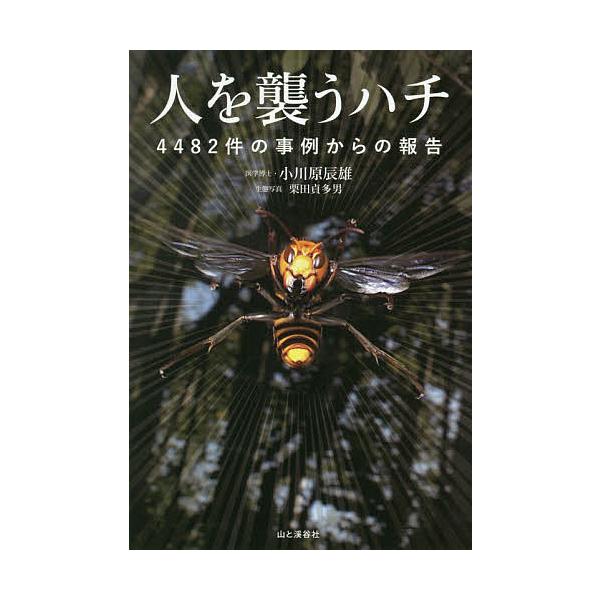 人を襲うハチ 4482件の事例からの報告/小川原辰雄