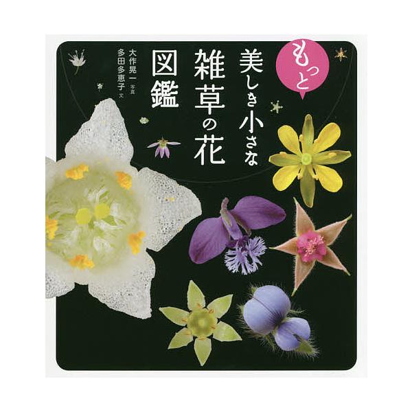 もっと美しき小さな雑草の花図鑑/多田多恵子/大作晃一