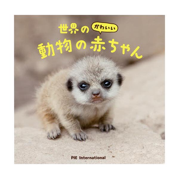 本 赤ちゃん 写真集 雑誌の人気商品 通販 価格比較 価格 Com