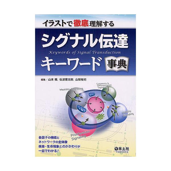 イラストで徹底理解するシグナル伝達キーワード事典/山本雅/仙波憲太郎/山梨裕司