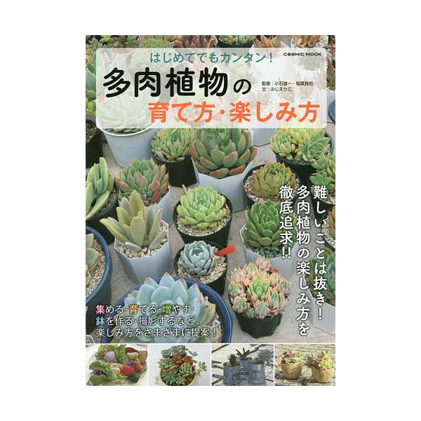多肉植物 石 本 Cd Dvdの人気商品 通販 価格比較 価格 Com