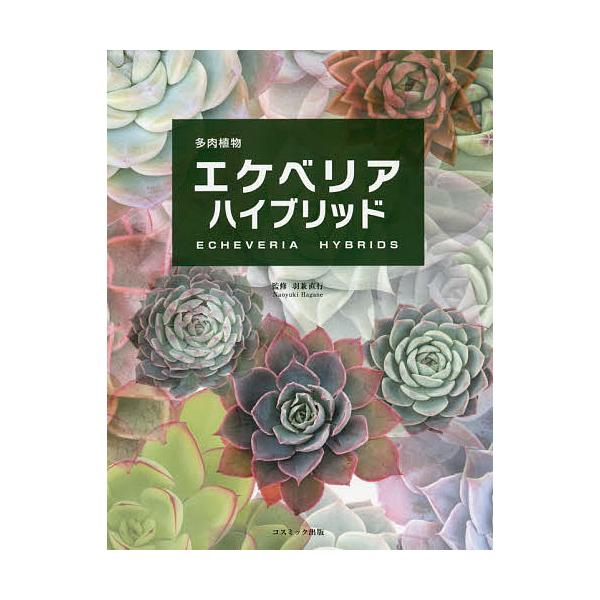 多肉植物エケベリアハイブリッド/羽兼直行