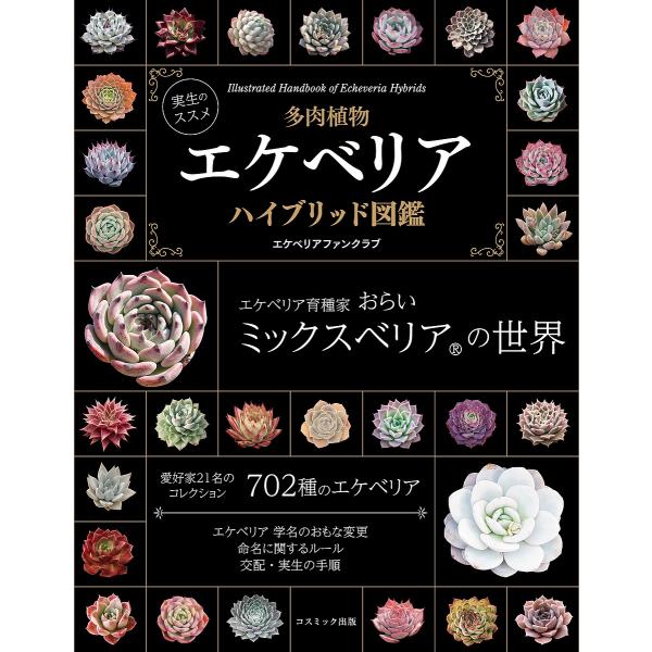 観葉植物の本 ランキングtop4 人気売れ筋ランキング Yahoo ショッピング