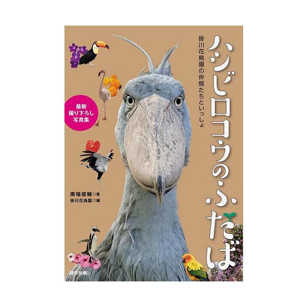 ハシビロコウのふたば 掛川花鳥園の仲間たちといっしょ/南幅俊輔/掛川花鳥園