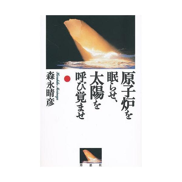 著:森永晴彦出版社:草思社発売日:1997年08月キーワード:原子炉を眠らせ、太陽を呼び覚ませ森永晴彦 げんしろおねむらせたいようおよびさませ ゲンシロオネムラセタイヨウオヨビサマセ もりなが はるひこ モリナガ ハルヒコ