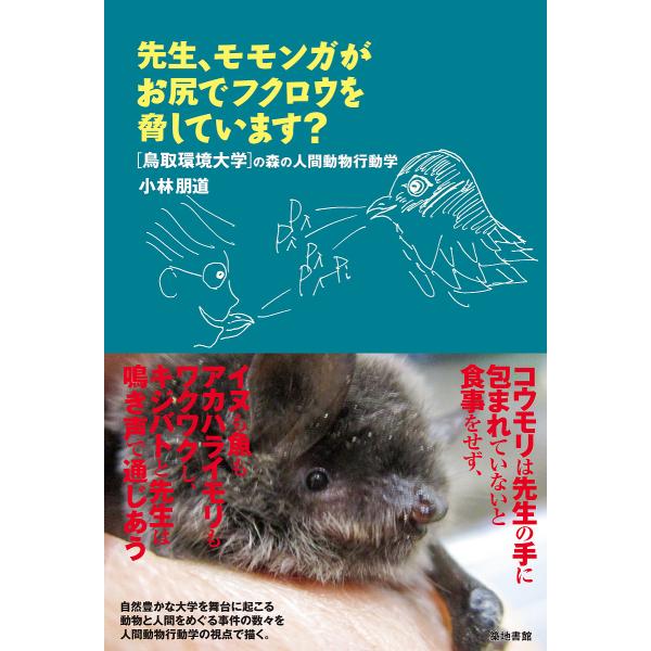 先生、モモンガがお尻でフクロウを脅しています?/小林朋道