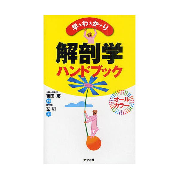 早わかり解剖学ハンドブック/吉田篤/左明