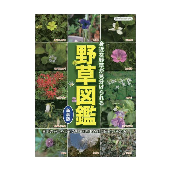 野草図鑑 身近な野草が見分けられる 日本の野草を季節ごとに網羅した野草図鑑の決定版!