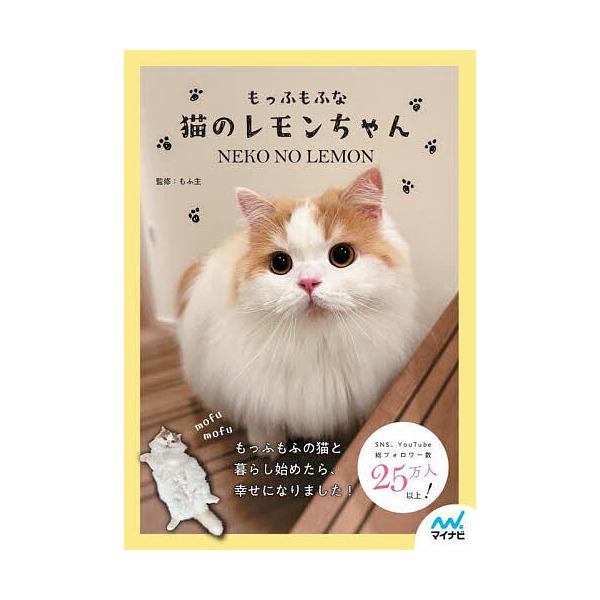 もっふもふな猫のレモンちゃん/もふ主